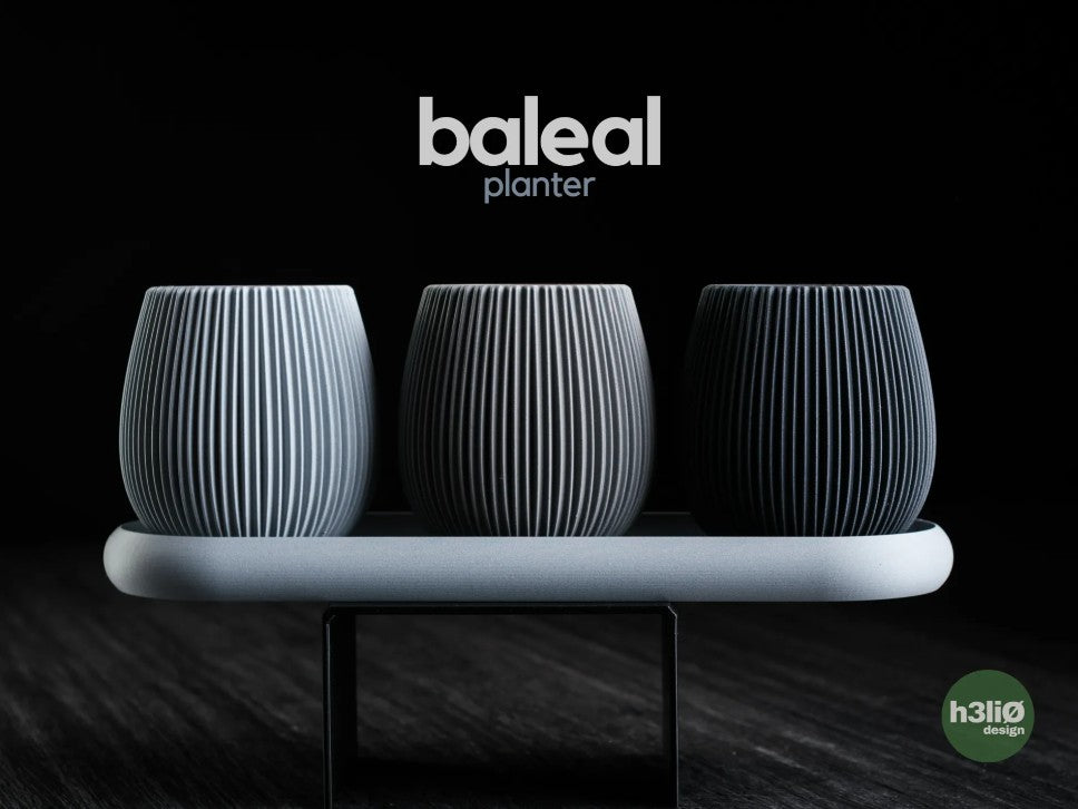 Maceta Baleal